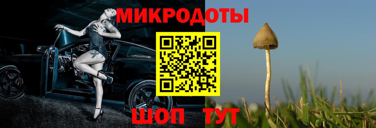 Елец  Псилоцибиновые грибы MAGIC MUSHROOMS  Вход с VPN 